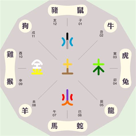 地支五行|地支